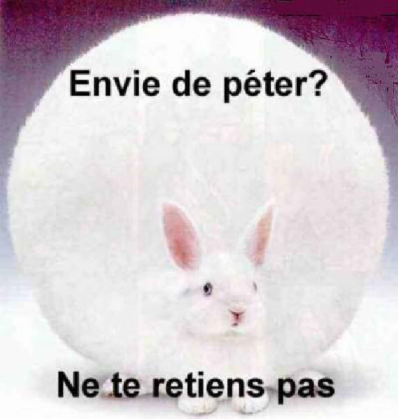 envie de peter-humourenvrac